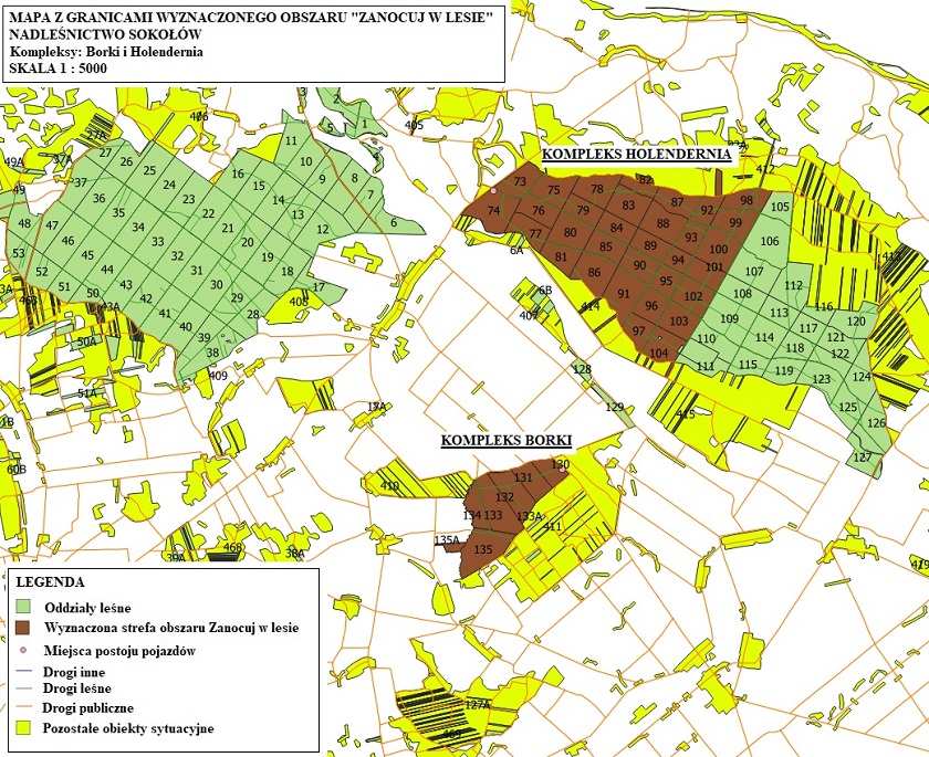 Mapa prezentująca kompleksy leśne Borki i Holendernia z zaznaczonym obszarem Programu Zanocuj w lesie