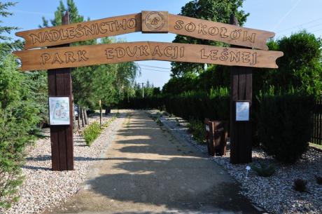 Park Edukacji Leśnej Nadleśnictwa Sokołów