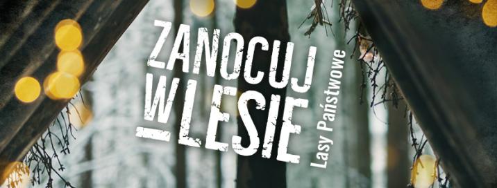 Zanocuj w lesie baner promocyjny